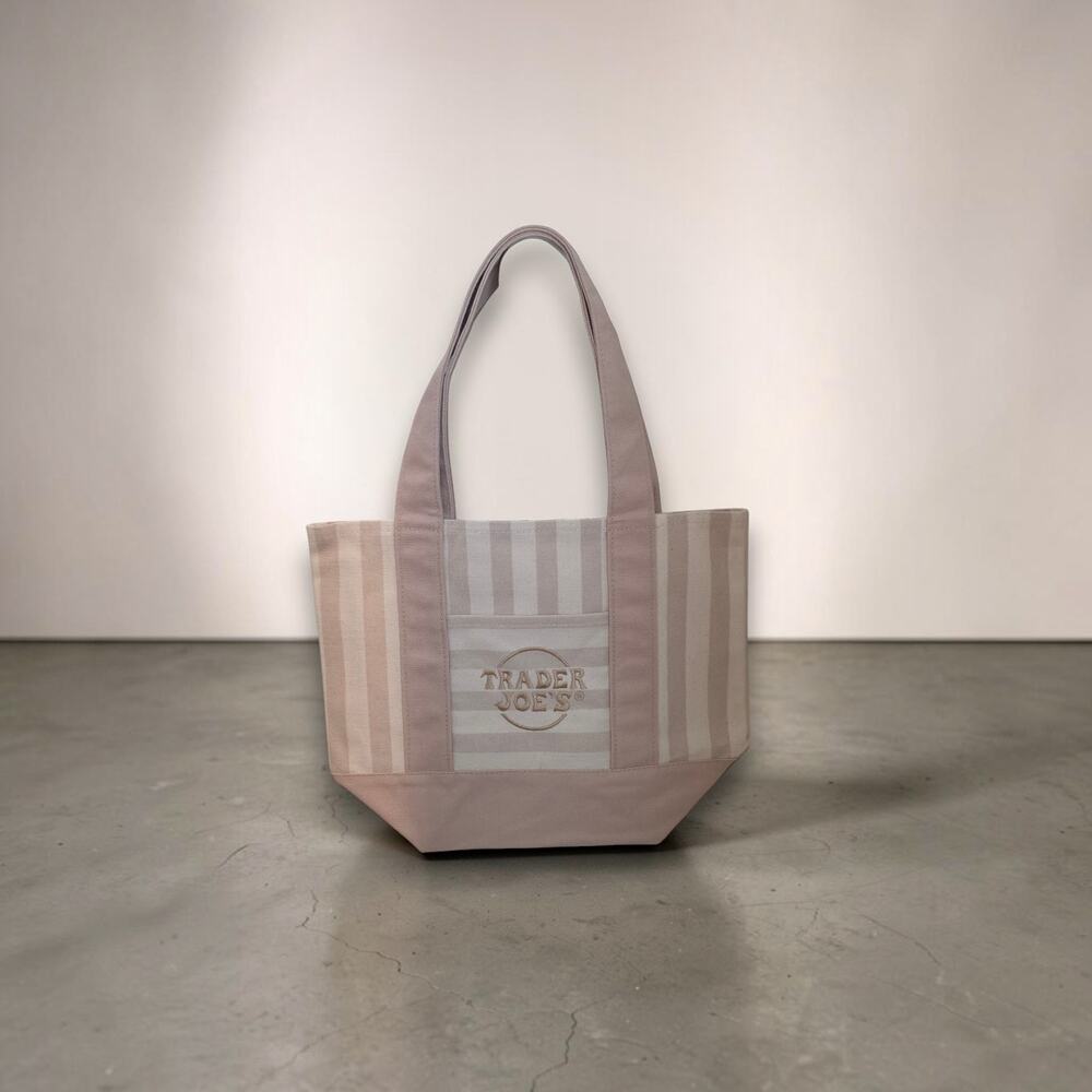 Trader Joe’s Striped Beige Canvas Mini Tote Bag – NWT – 13" × 10.5" × 6"